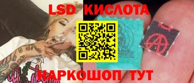 стафф Будённовск