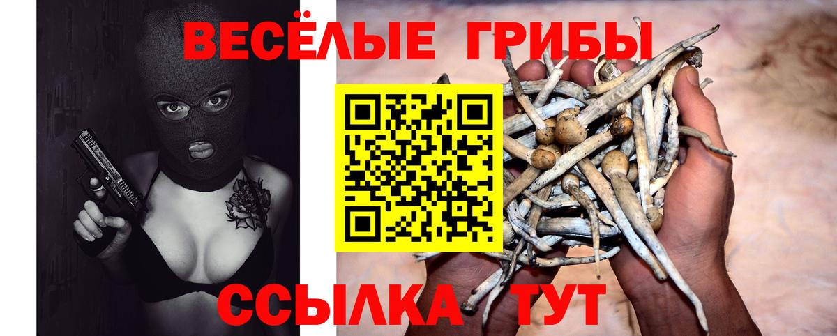 Псилоцибиновые грибы Psilocybe  где найти   Урус-Мартан  Галлюциногенные грибы GOLDEN TEACHER  Вход с VPN 